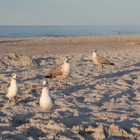 Geraeumige Mit Garten In