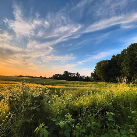 Geraeumige Mit Garten In