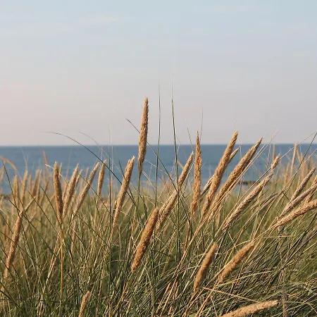 شقة Geraeumige Mit Garten In